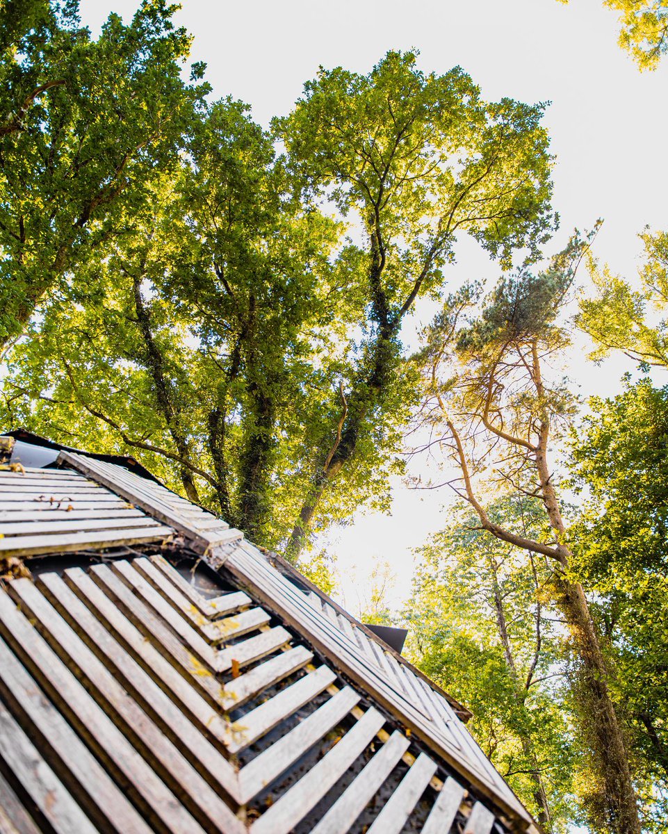 Autumn is here! 

Bring on the crisp mornings and the cosy evenings.

Will you be hibernating or joining us by the fire? 

#lastdayofsummer #summerseason #autumn #woodland #firecircle #cosy #events #communityspace #venuehire #outdoors #nature