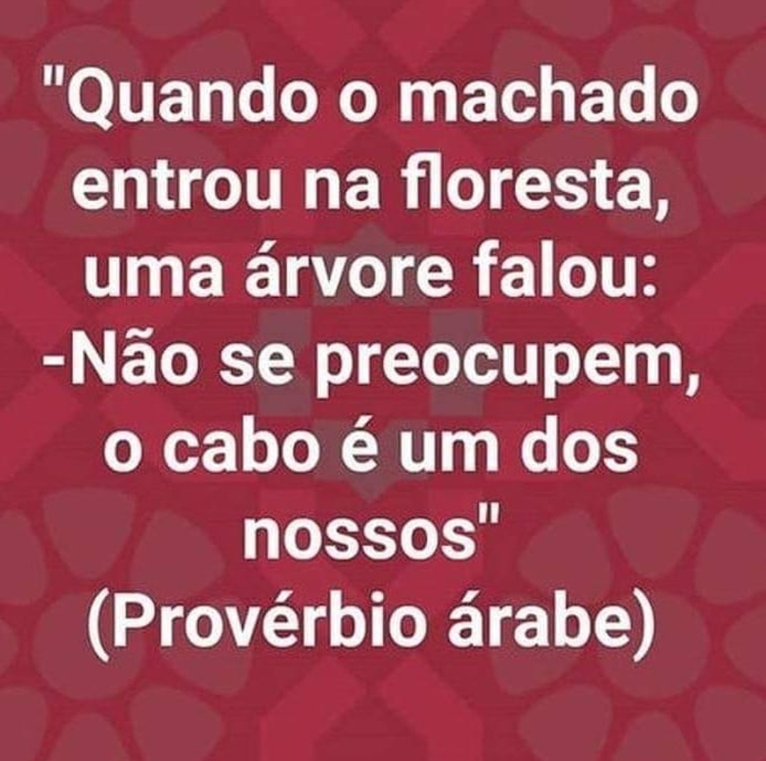 ebersonbarnabe's tweet photo. É isso aí https://t.co/mtx00C8R5y