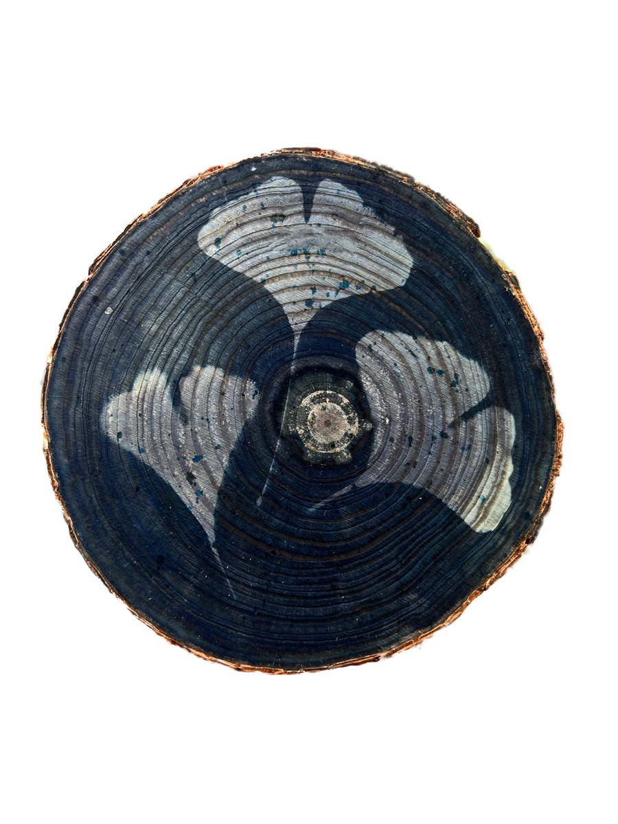 Сашо Алушевски
Викторија Мачковска 
Мартина Павлоска
<a href="/cyanogifts/">handmade artifacts</a>