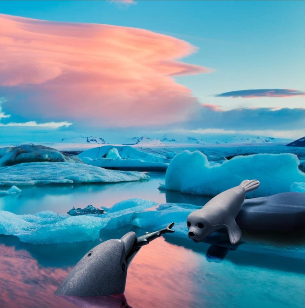 PlaymobilUK's tweet photo. Seals π¦ have an incredibly well developed sense of smell. For
example, mothers recognize their young immediately by the
unique smell of each seal.
#PLAYMOBIL #Wiltopia #Knowitloveitprotectit #Nature
#earth #sustainability #recycling https://t.co/bGPWuI1snl