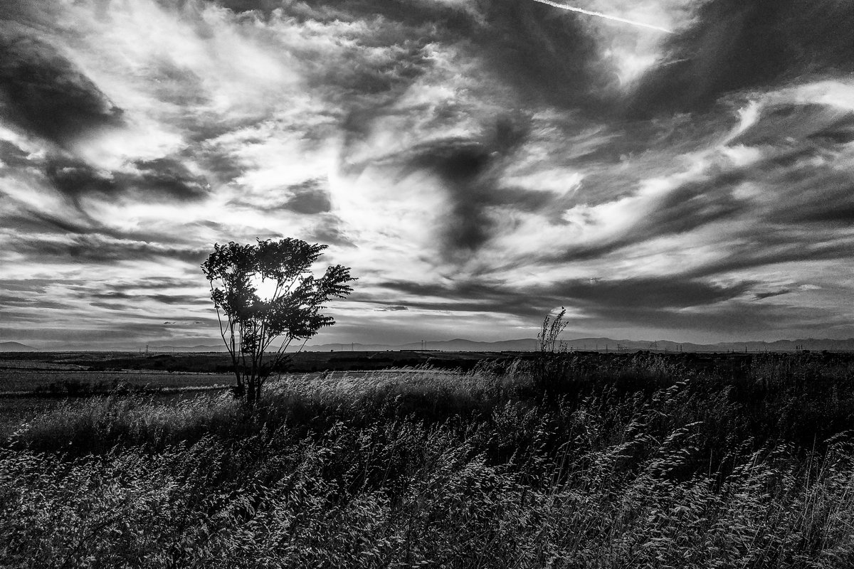 28agosto_88's tweet photo. #blancoynegro #bnwphotography #blackandwhitephotography #blackandwhite #blackandwhitephoto #mostoles #mostolescity https://t.co/QJ6Dtzd2jm