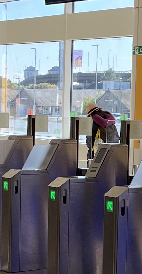 Quinn “The Eskimo!” tweet media