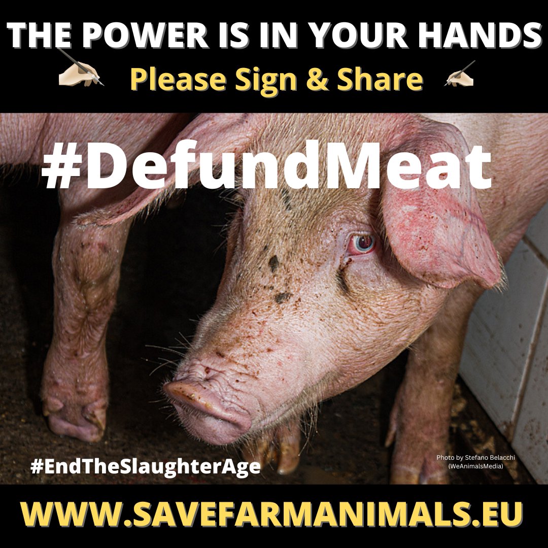 ETSA_Ireland's tweet photo. #DefundMeat #DefundDairy #endtheslaughterage
END SLAUGHTER OF FARMED ANIMALS Ask the European Commission to subsidise Ecological Alternatives to Livestock farming 🙏Sign the 'End the Slaughter Age' European Citizens Initiative at:
https://t.co/MRohbrJzay
Or
@ Link in the Bio🙏 https://t.co/amzGxB3nqa