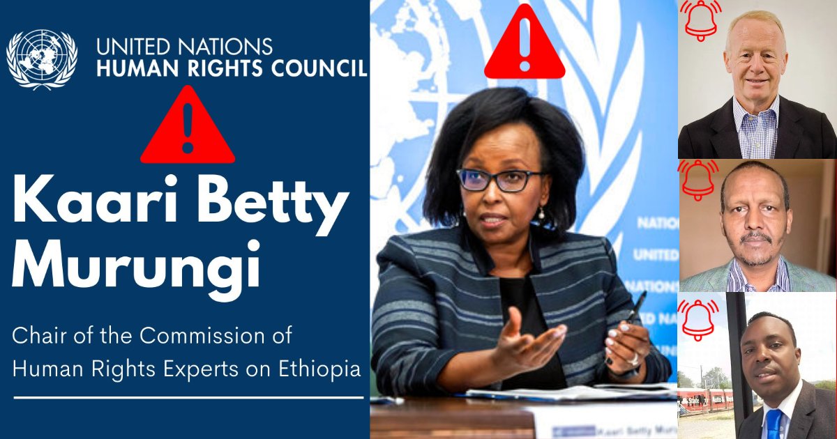#Ethiopia has rejected z formation of #kaari_murungi's covert commission of "experts", as it is irrelevant since z credible report previously organised was pending. Individuals in the #EUCommission has dictated to form this group to fulfil their hidden agendas of rescuing #TPLF.