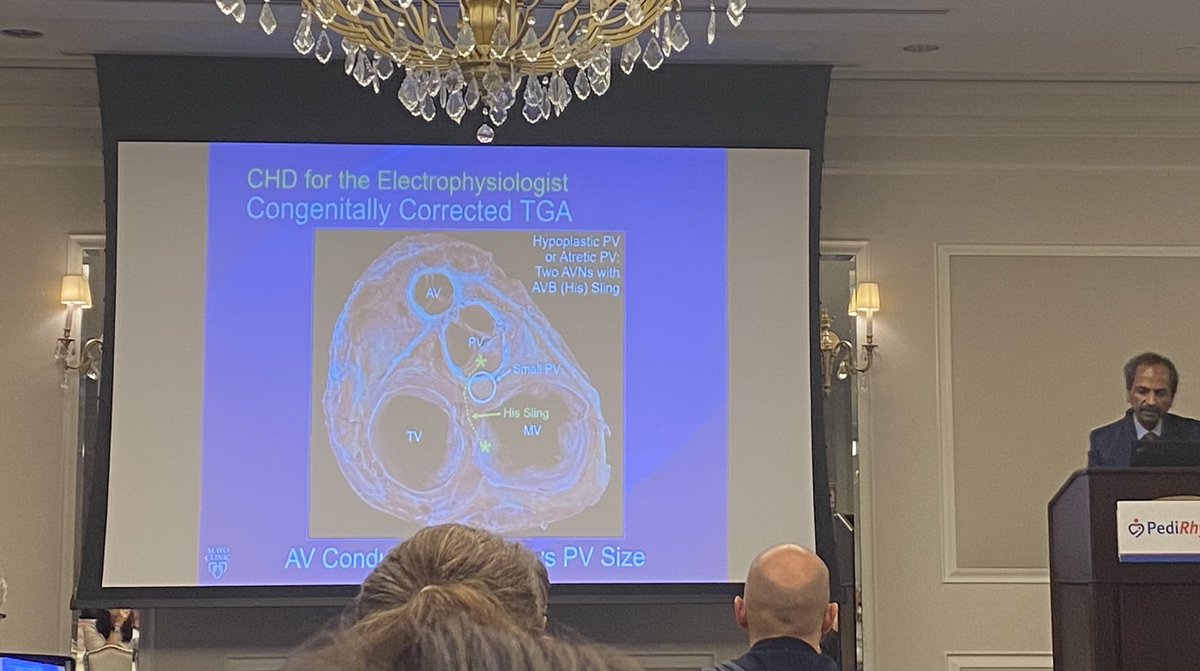 NiliScham's tweet photo. Fantastic learning experience from great international experts - thanks to the organizers of @pedirhythm #achd #EP #congenitalheart https://t.co/FA2zl95pUt