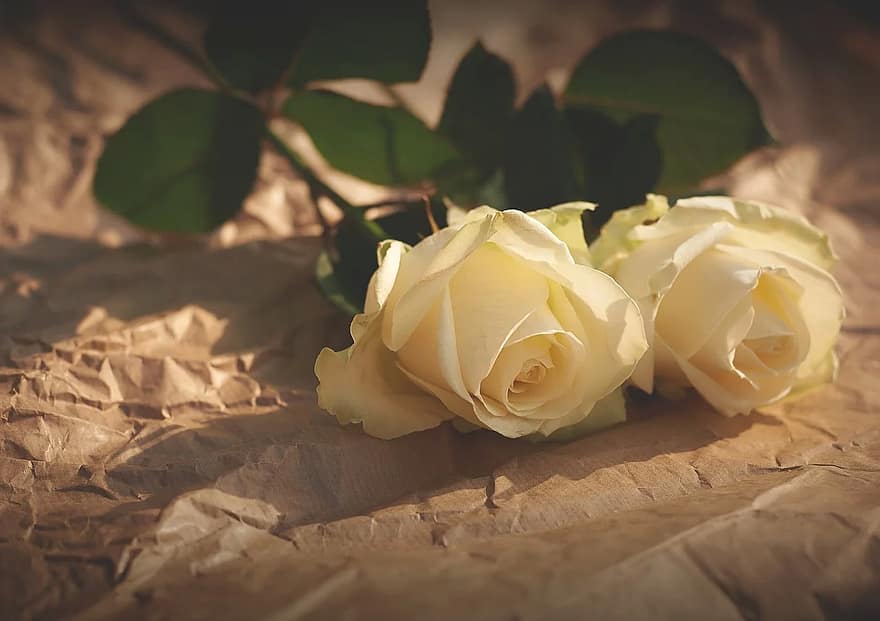 <a href="/babynudesz/">Babynudesz</a> how nice you look 😍
you are sweet  😍 

I don't love who loves me😍😍😍😍😍

<a href="/Jetisky_F4F/">J༶e༶t༶i༶s༶k༶y༶ Follow you</a> <a href="/APforStudents/">AP for Students</a> <a href="/SDAIA_SA/">SDAIA</a> <a href="/OlianoKatia/">Lojão da Káh🌻</a> <a href="/Sahelenaa/">Sazinha </a> <a href="/alduwaihish/">Abd._.Almonem</a> <a href="/WDWToday/">Walt Disney World Today</a> <a href="/SouTimeLula/">Time Lula ANTIfascismo</a> <a href="/IaciraA/">w.shadow</a> <a href="/WDWToday/">Walt Disney World Today</a> <a href="/WiggoPersson1/">Wiggo Persson</a> <a href="/Skills4Stem/">Skills4Stem</a> <a href="/Alexander_SLO/">Alexander</a> <a href="/wswools/">Weekend Schemers Wools</a> <a href="/98Watches/">sammyB_lol 🤣</a> <a href="/NathanPSouthern/">Nathan Paul Southern</a>