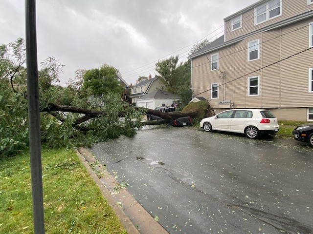 Move100Halifax's tweet photo. South end #Halifax is looking rough  this morning 😬

- Erin &amp; Peter #MOVEMornings https://t.co/PpiO5s9rHs