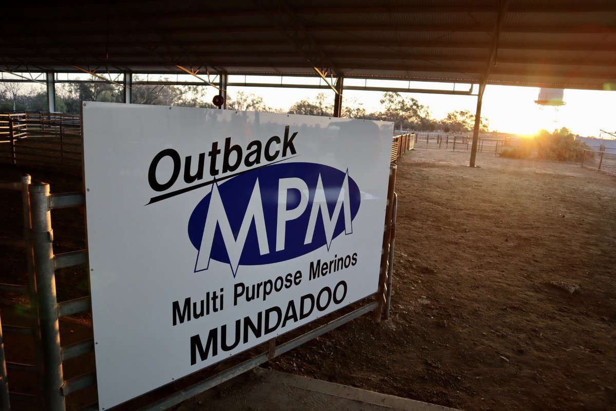 Richie Steele - Outback MPM (@outbackmpm) on Twitter photo Sale Ram videos are being uploaded to YouTube - apologies as it’s taking us a bit of time but we are getting there. View them on the link below;
youtube.com/playlist?list=… Sale Ram videos are being uploaded to YouTube - apologies as it’s taking us a bit of time but we are getting there. View them on the link below;
youtube.com/playlist?list=…