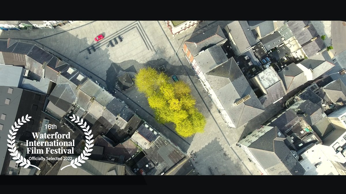 Waiting Space (@waitingspaceirl) on Twitter photo I am so honoured and humbled that my piece 'Cocoon' has been Officially Selected for the 16th Waterford Film Festival (<a href="/waterfordfilm/">19th Waterford International Film Festival</a>) & will also be played in the #Waterford <a href="/ODEONcinemasIRE/">ODEON Ireland</a> as part of the festival.
Thanks to the WFF team & congratulations to all the selectees. I am so honoured and humbled that my piece 'Cocoon' has been Officially Selected for the 16th Waterford Film Festival (<a href="/waterfordfilm/">19th Waterford International Film Festival</a>) & will also be played in the #Waterford <a href="/ODEONcinemasIRE/">ODEON Ireland</a> as part of the festival.
Thanks to the WFF team & congratulations to all the selectees.