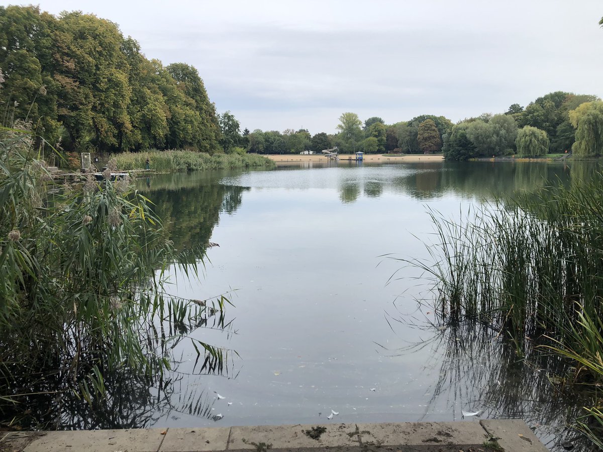 Kieran_drake's tweet photo. The temperatures may be falling and the Strandbads closing but I still can’t think of a better way to start the day. 🏊‍♂️🏊‍♂️🏊‍♂️

I even got to try a new lake today at #Orankesee https://t.co/HYLUnpl2Bq