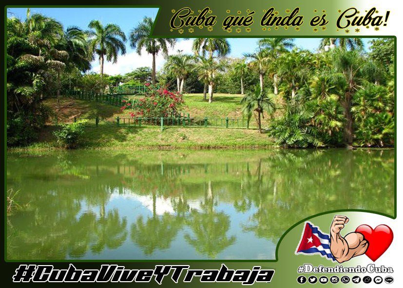 Mariana49247136's tweet photo. Lindo amanecer desde #CubaIslaBella🌴, feliz fin de semana para todos.

#CódigoSí #DefendiendoCuba🇨🇺💪❤️ https://t.co/SfmYIkhjQf