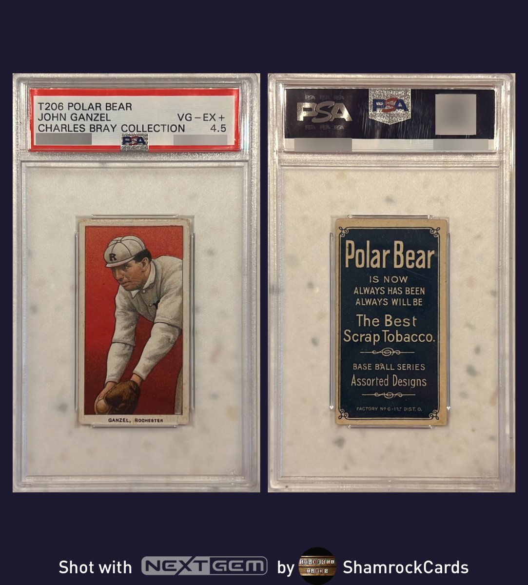 JOHN GANZEL T206 POLAR BEAR CHARLES BRAY COLLECTION See This Card: nextgem.app.link/4RPQyL1zAtb See Entire Collection: nextgem.app.link/2YCsawlHmsb @nextgemapp #psacard #gradedcard #t206 #cards #baseballcards #topps