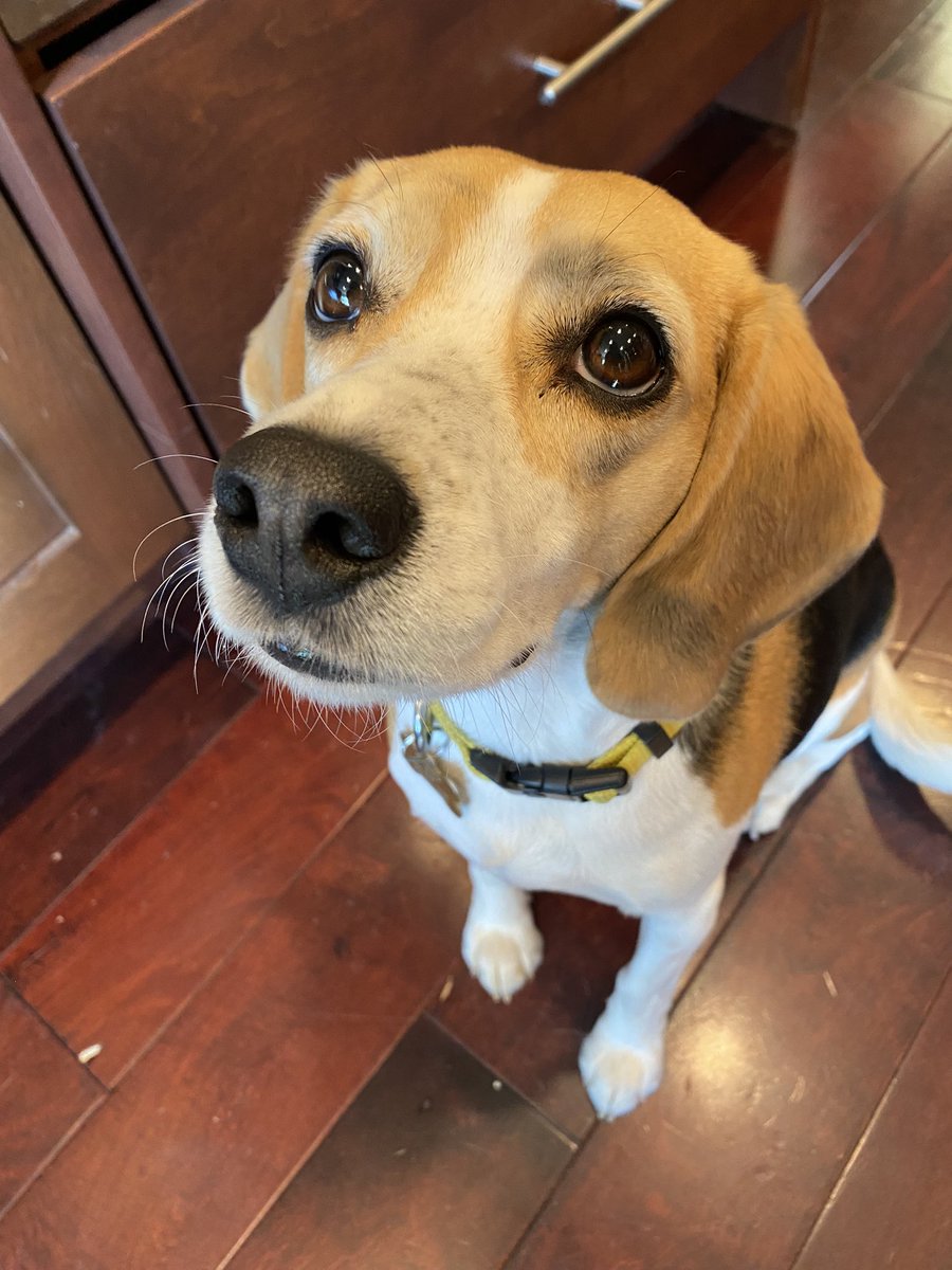 poppylovespanc1's tweet image. “I did my makeup mom! How did my eyeliner turn out???”