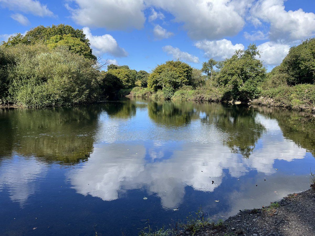 florNEWS's tweet photo. The River Ilen today, training ground of Olympians, and WORLD CHAMPIONS!🥇🥇
Congratulations to all at @skibbrowing #Ilen #Nile #skibbereen #westcork https://t.co/9xBAf24CqQ