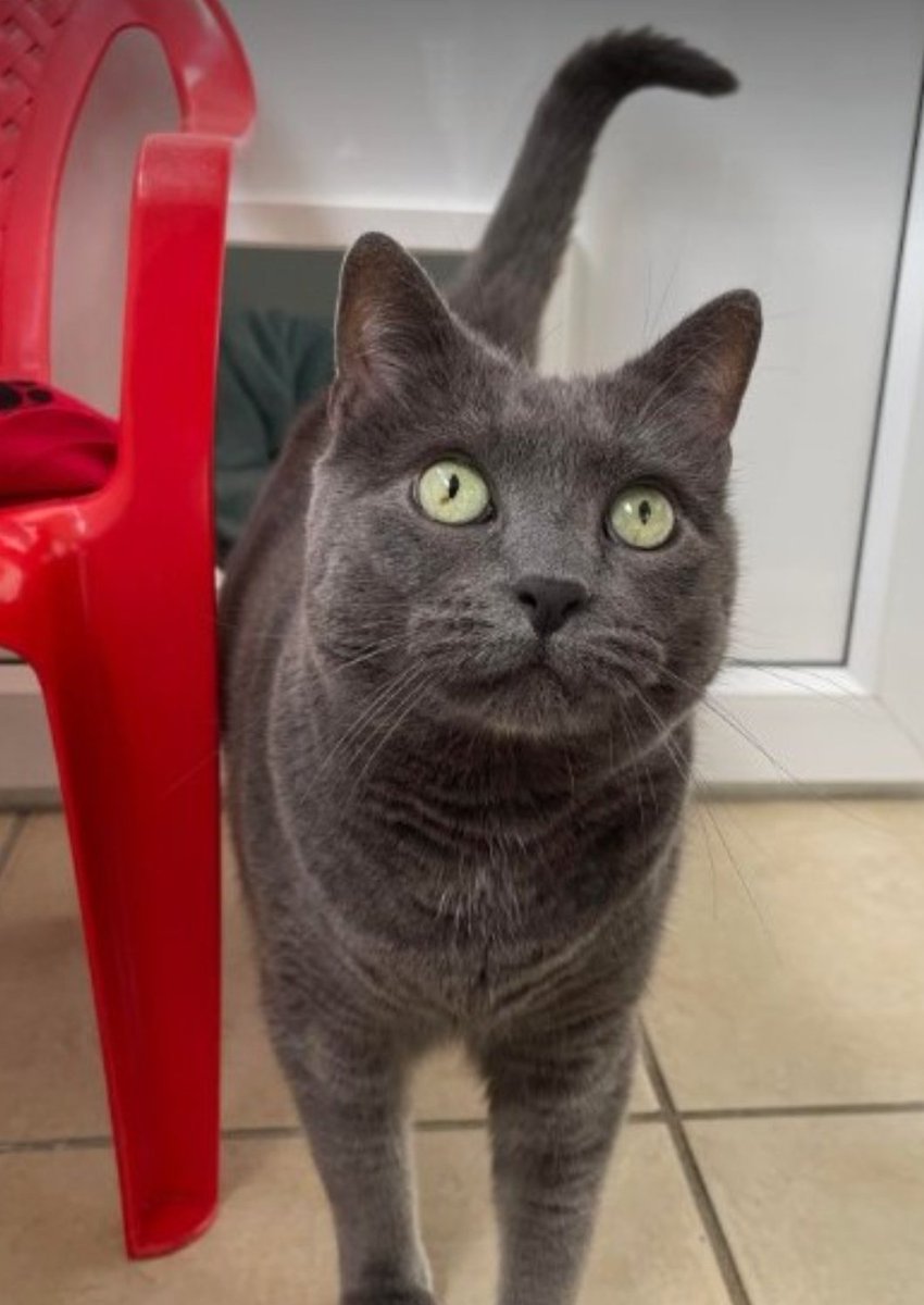 Who's rescuing who? 💗