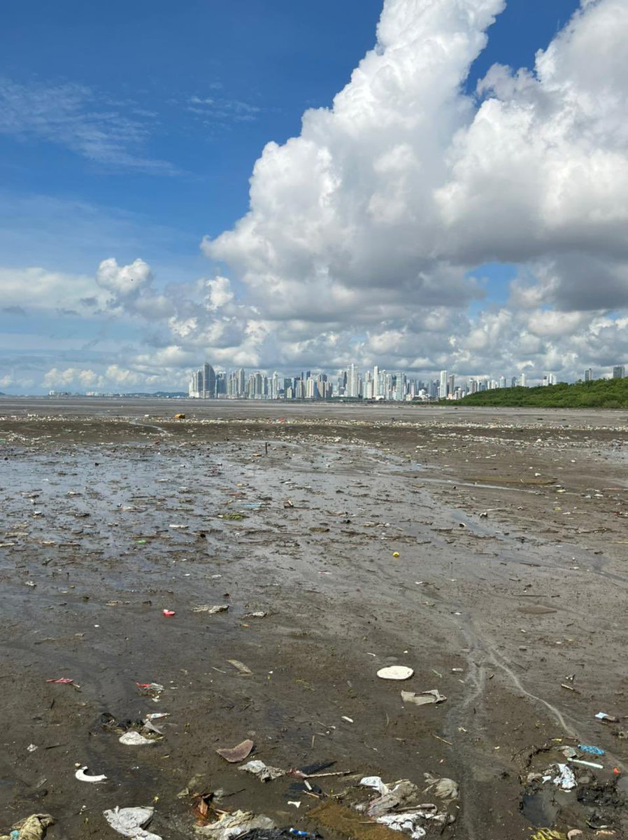 bridget_mcfar's tweet photo. Busy morning cleaning up the beach with @USEmbPAN &amp; @limpiapanama! ♻️ 🗑🌊 https://t.co/fChtuZiw5y