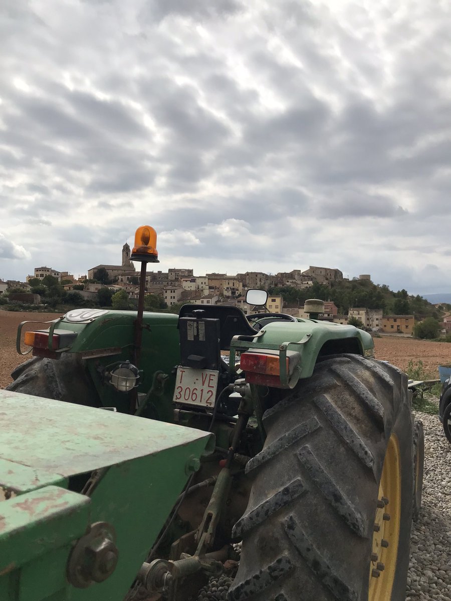 Últims dies de verema…