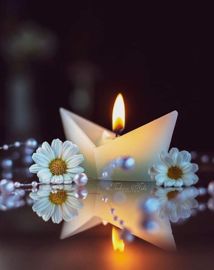 MAMOUN KHATEEB tweet media