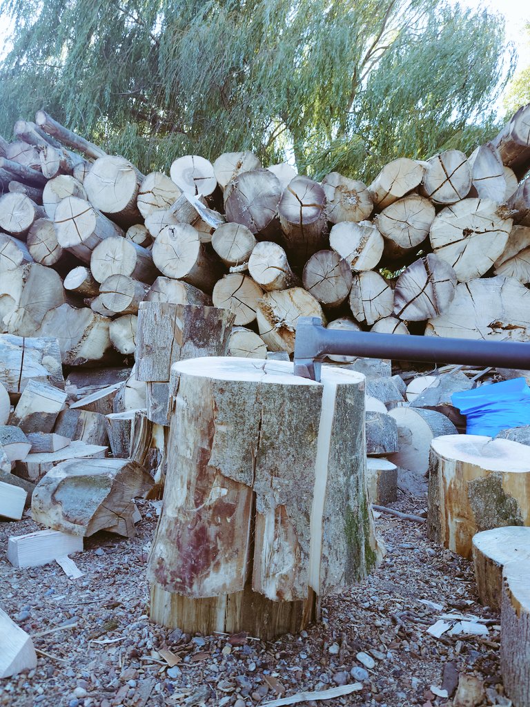 boatclubdoyle's tweet photo. Back in the real world it's bedlam logging season, over half of last year's sales done in 6weeks, over  200tonne bags chopped by axe, by 2 of us... I can't decide if I'm broken or insanely fit... #independentbusiness @archers_low #graft #loggingseason #axe https://t.co/WZF6fuBwTh
