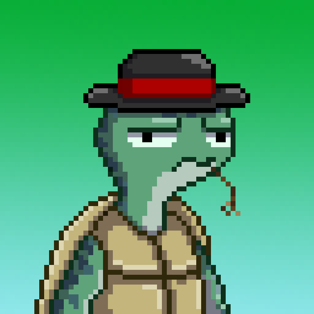 PINHYPE's tweet photo. Season 2 has arrived. 1 of 1 Taproot Turtle 🐢 @0xPolygon #NFT available now. https://t.co/tfgbVUTPrh https://t.co/nsrERJUoNO