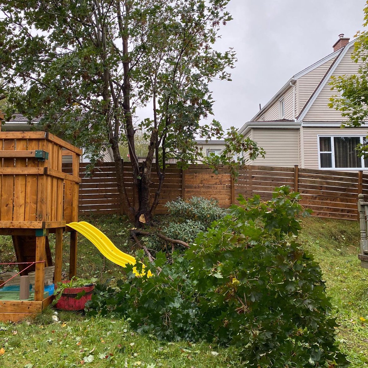 berducky's tweet photo. We’ve made it through #hurricanefiona ok - no power and part of a tree down but we’re safe and the house is unharmed.
#hurricane #hurricanefiona #treedown #madeitthrough #fairview #novascotia https://t.co/Gkj0m930zW