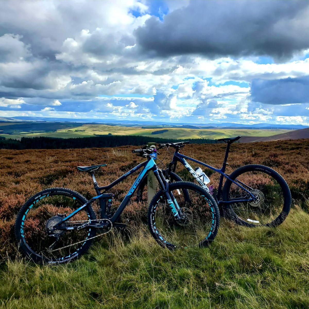 blonde_on_bikes's tweet photo. Mountain biking on the #duchessdrive #bowhill #ScottishBorders #mountainbiking https://t.co/VbembAgOJx