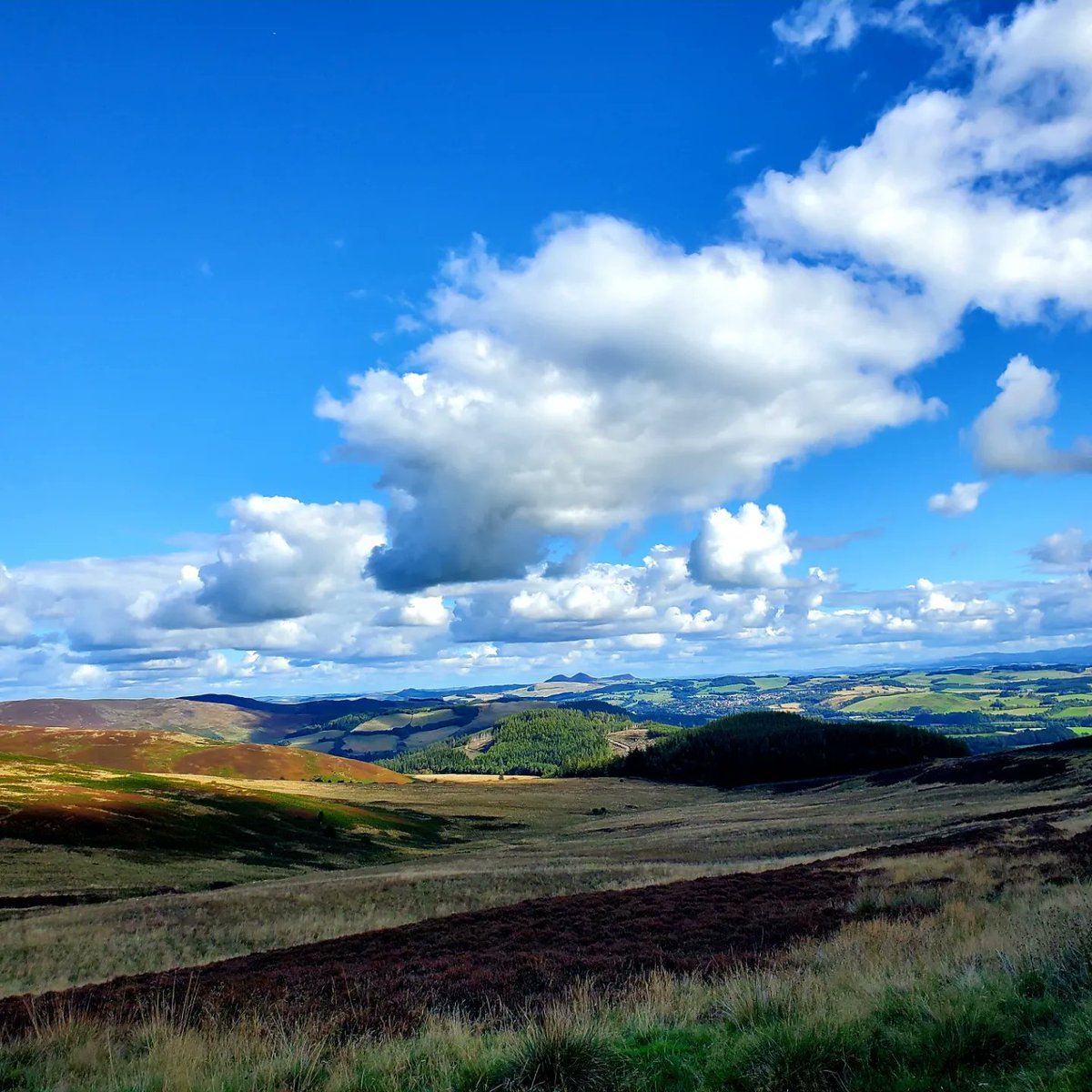 blonde_on_bikes's tweet photo. Mountain biking on the #duchessdrive #bowhill #ScottishBorders #mountainbiking https://t.co/VbembAgOJx