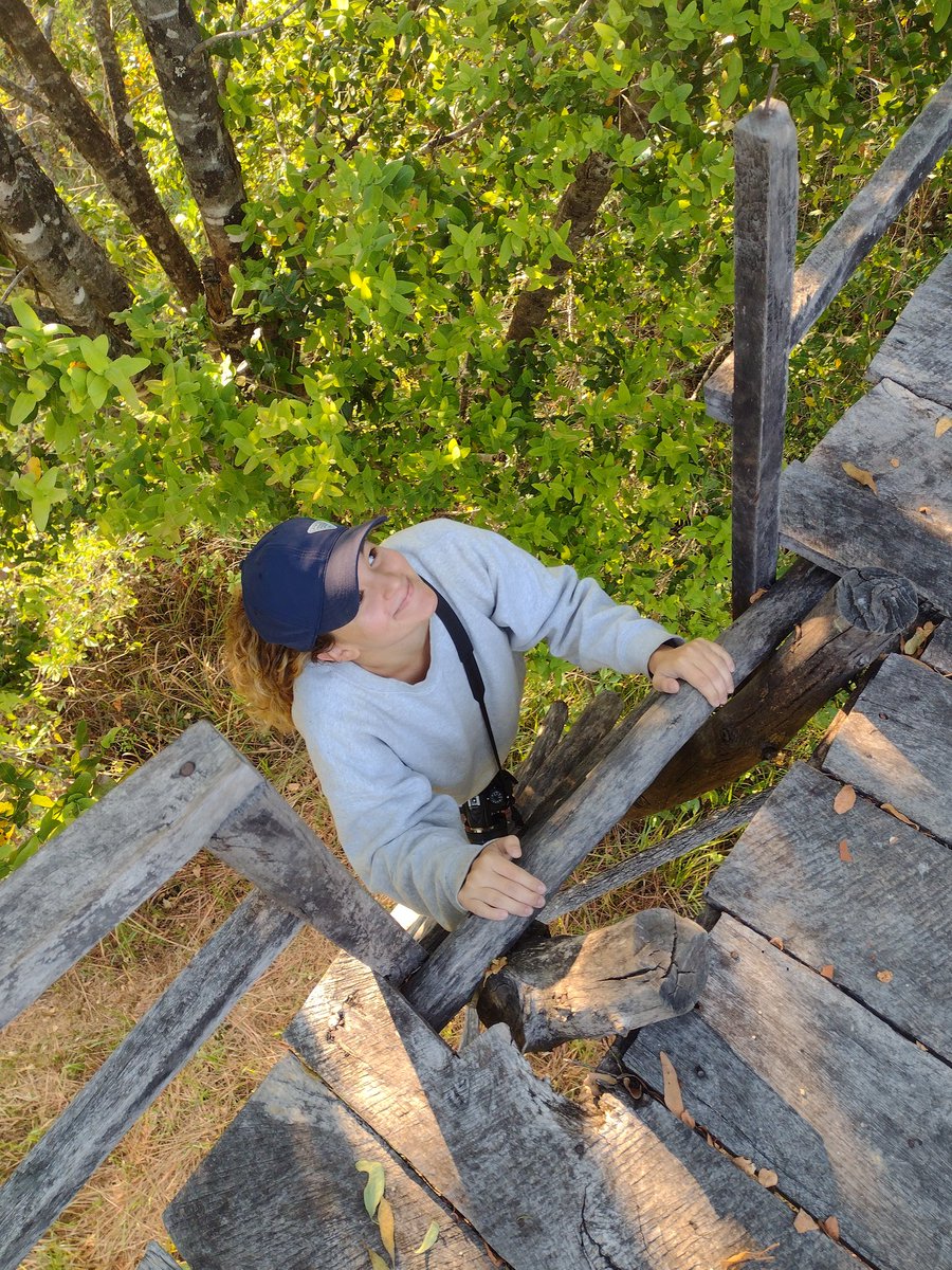 MandyMonkey02's tweet photo. Photos from the hide overlooking the bat forest @KindaCamp @TheKasankaTrust #KasankaNP #Zambia #baboonies #baboonlife w/ scout Banda @AnissaSpeaks & Ruby https://t.co/qghTiP23FX