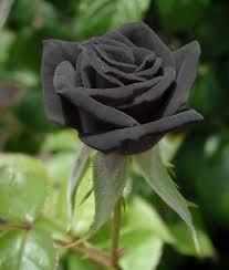 Al_Yafei1's tweet photo. #دعم_حسين
@alkaladi_
@k_3__o
@AlkldyAljnwby
@anoud_5050
@fhd76104808
@m_s_alsaadi
@kasd_1
@F_N_T_0
@307M_S
@4G_32
@0Mahfodh
@3thob_511
@Smo_088
@sjdltyy88
@Aq__67
@fh__5ll
@Harb__82
@hgrUHhPqzd7ksaY
@altyb43110309
@09_hkm
@southabeer
@7ATM_98
@8R__8A
@6YFnhXLf7bybdIX
@337Hoo https://t.co/OZY55sI8JM