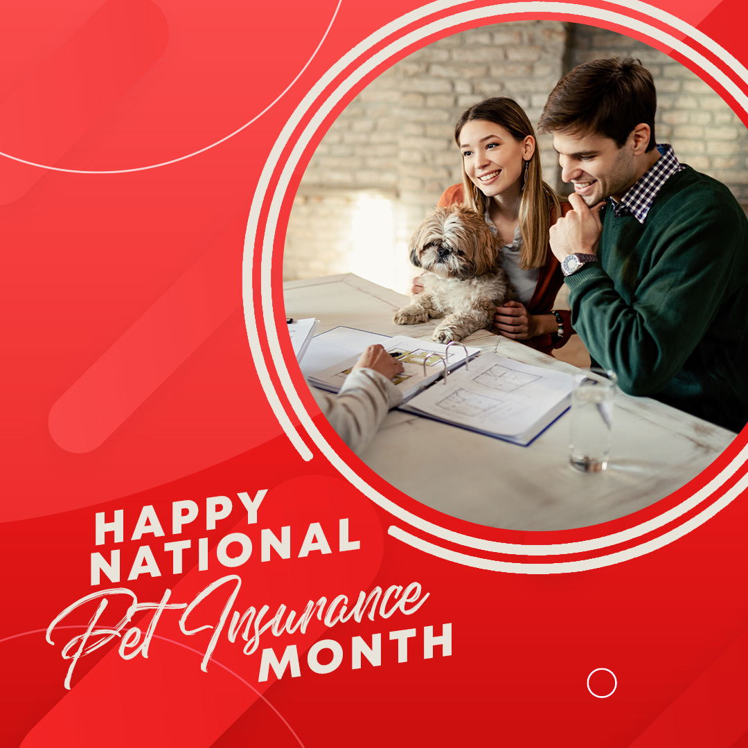 sfagentrussell's tweet photo. Happy #NationalPetInsuranceMonth! Besides being a fun presence in our lives, research has shown that pets offer a number of benefits, including reducing anxiety, lowering our blood pressure and boosting our immunity. 🐾 https://t.co/xrQ8pIKUyH