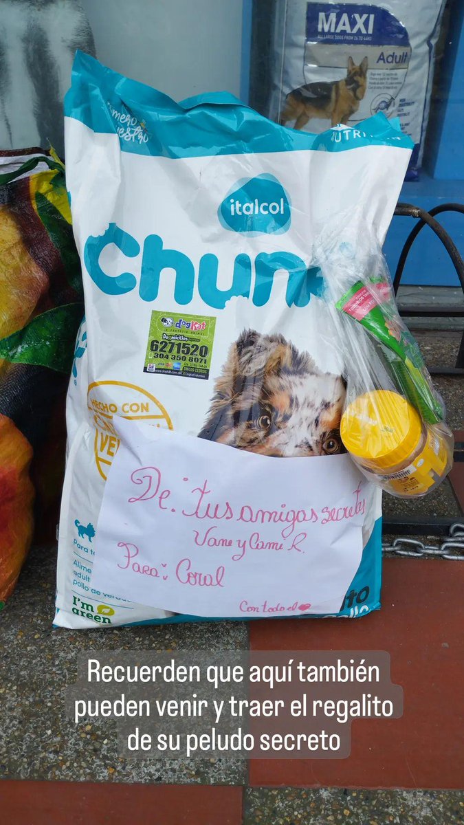FundacionLucila's tweet photo. Estaremos en Silveragro Mascotas autopista Norte #145a - 34 hasta las 4pm ❤️🩹 https://t.co/Ja7tNV2fyC