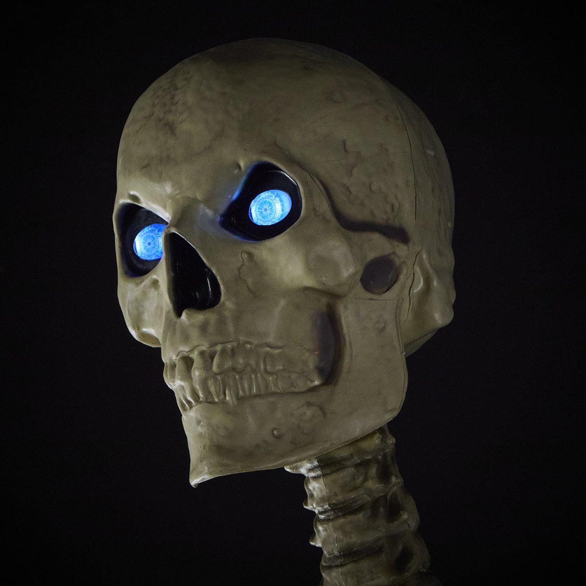 Now that you’ve got your Skelly, it’s going tibia great Halloween 🦴 Learn how to care for your giant skeleton so it can return each spooky season 💀: thd.co/3RdyUmC