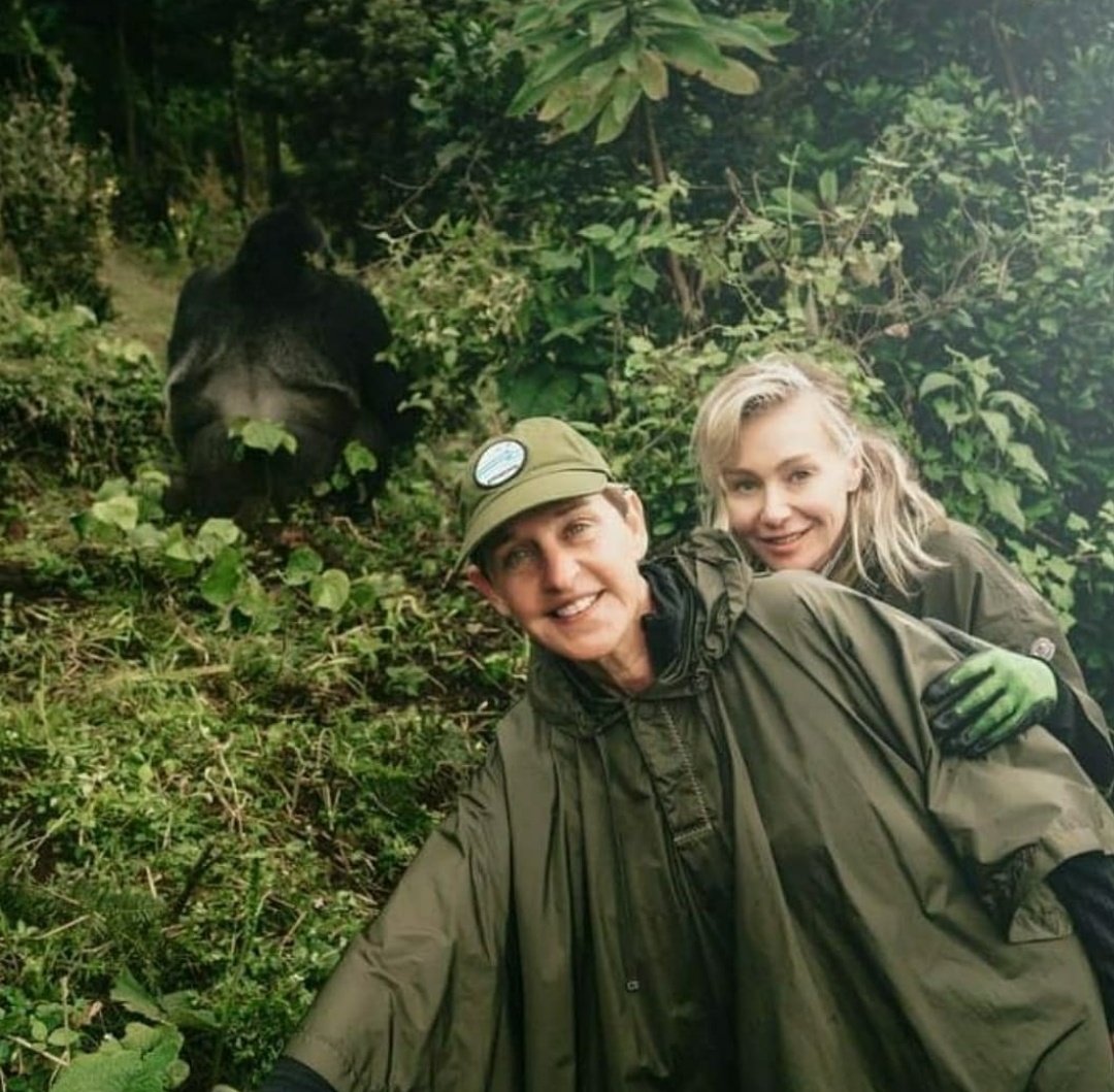 EllenD_FC's tweet photo. Happy World Gorilla Day!🦍❤️

#WorldGorillaDay https://t.co/eJ6LgKhccK