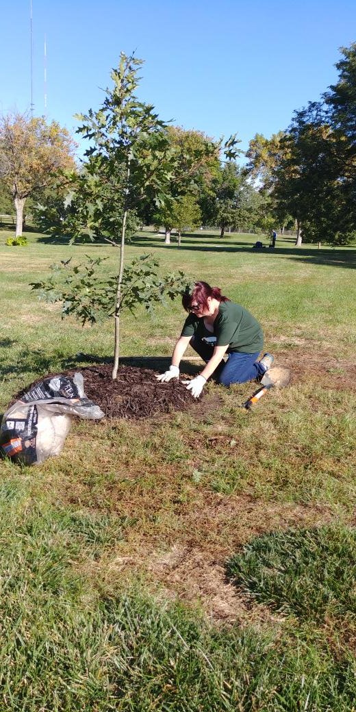 benson_ne's tweet photo. Tree planting in Benson Park today! https://t.co/iAieU56XKp