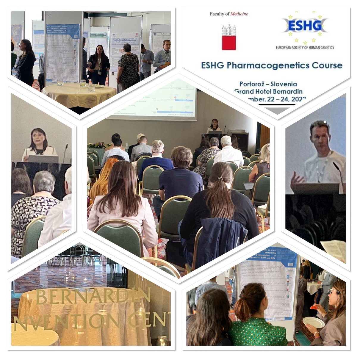 Ron van Schaik (@ronvanschaik) on Twitter photo Great #ESHG #Summercourse on #PGx! Thanks Vita Dolzan, <a href="/GeneticBill/">Bill Newman</a> and the Slovenian team for organizing! Great #ESHG #Summercourse on #PGx! Thanks Vita Dolzan, <a href="/GeneticBill/">Bill Newman</a> and the Slovenian team for organizing!
