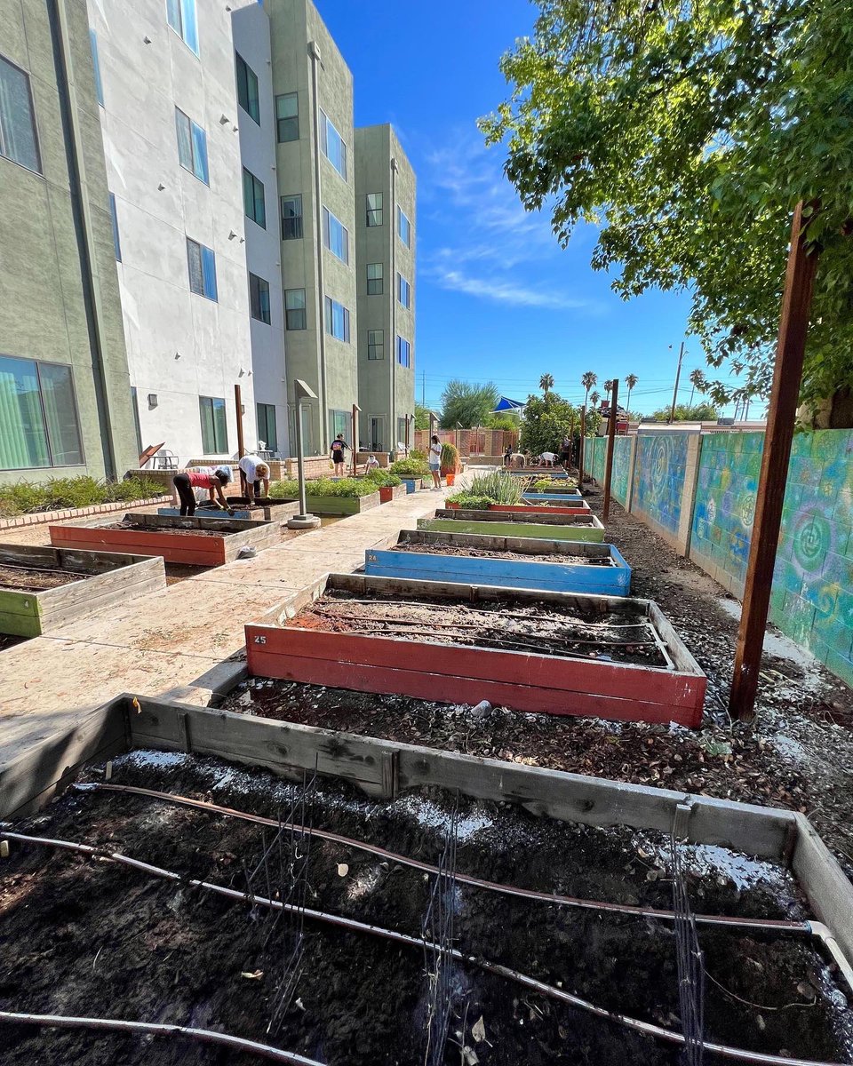 ProjectRoots1's tweet photo. Amazing morning of #volunteering in #Mesa getting the #LocalFirstAZ El Rancho Del Sol Community Garden ready for fall/winter. THANK YOU Arizona Worm Farm for your donations of compost and castings. #community #growyourownfood #gardenbox #wormsoil #MesaAZ #ThankYouVolunteers https://t.co/CUioy8U27S