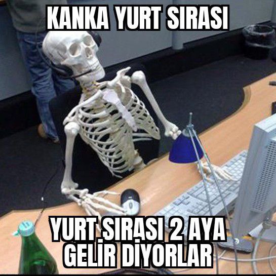 benyiigit tweet picture