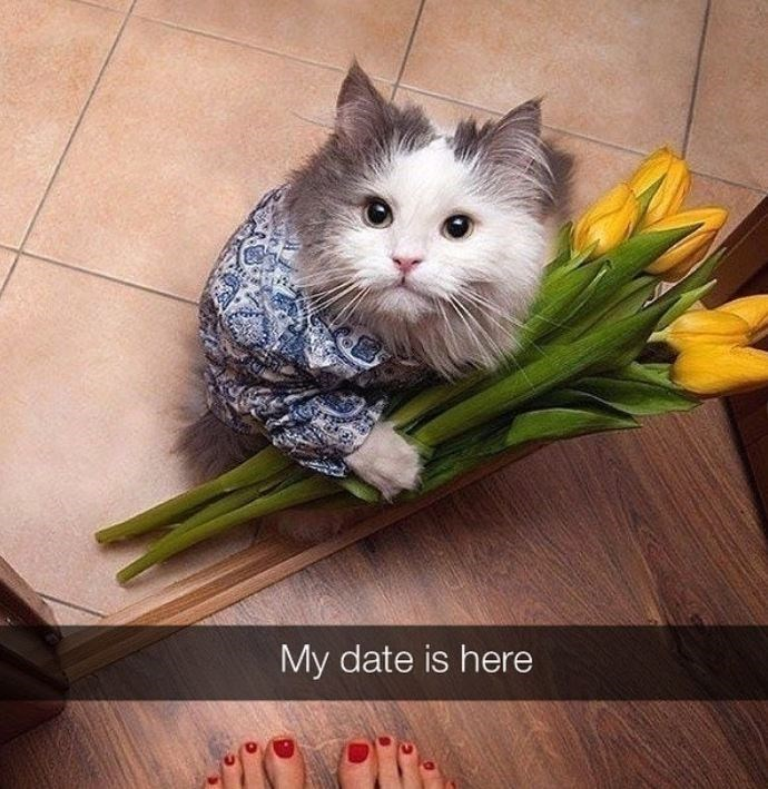 WholesomeMemes tweet media