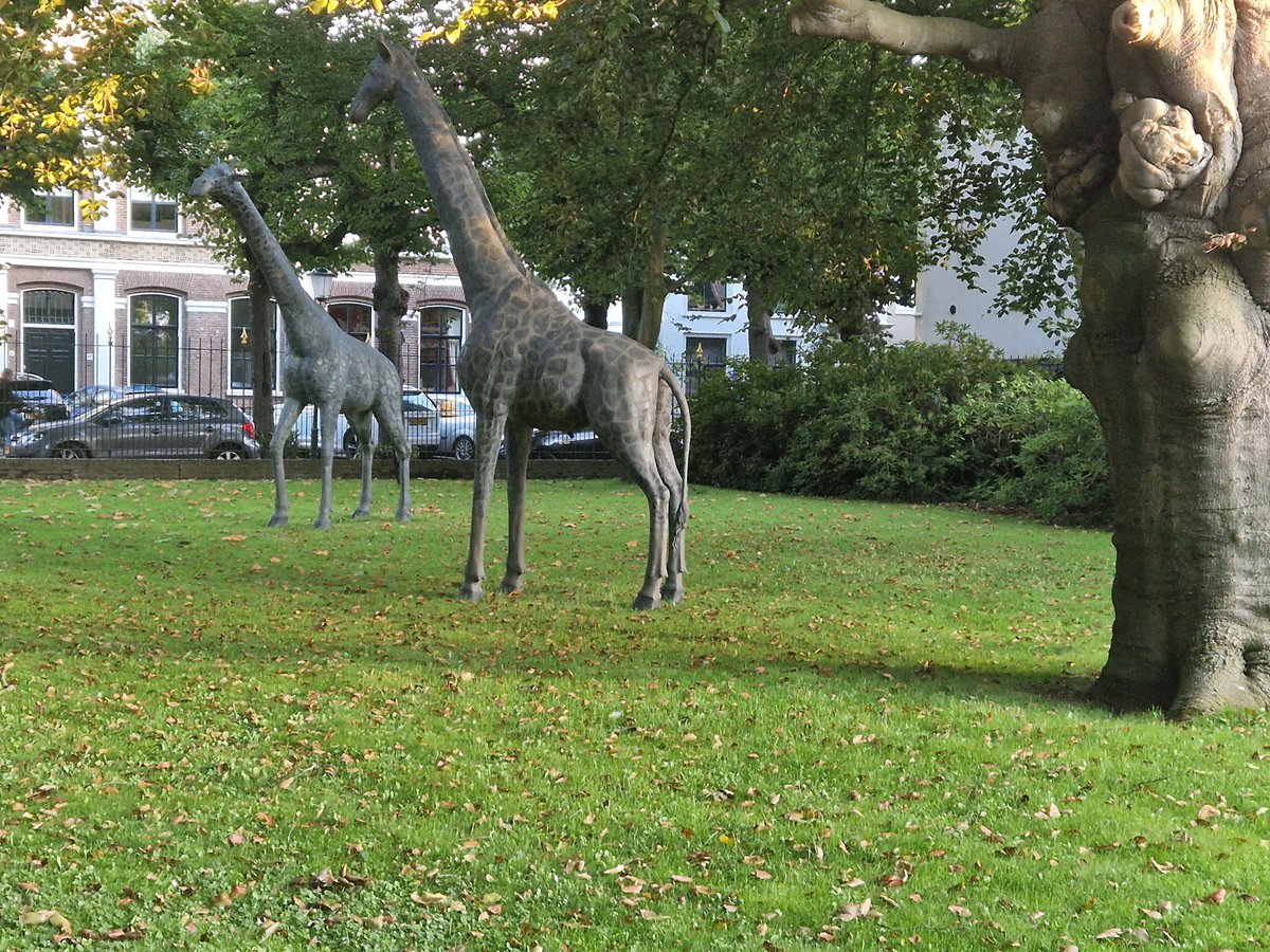 The_critic31's tweet photo. Die @wup5 heeft de raarste zaken in der voortuin staan. #Snuffel https://t.co/6yH1eNQmWs