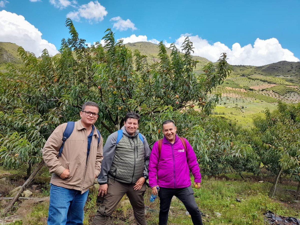 Finagro's tweet photo. Realizamos acompañamiento para el levantamiento de Marcos de Referencia Agroeconómicos de durazno, apio y mandarina lisa en los municipios de Mutiscua y Chitagá en Norte de Santander, y Lebrija en #Santander.🍊👏🏻 https://t.co/AHfHqeXuGC