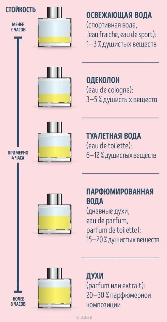 Интересные факты | Factinteres on Twitter: "Типы парфюмерии https://t ...