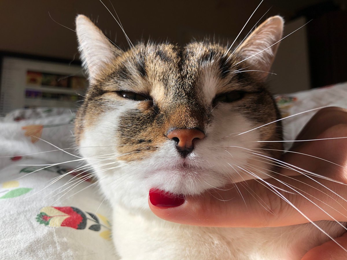 absorbb's tweet photo. #ShotoniPhone https://t.co/K5kThNQrqd