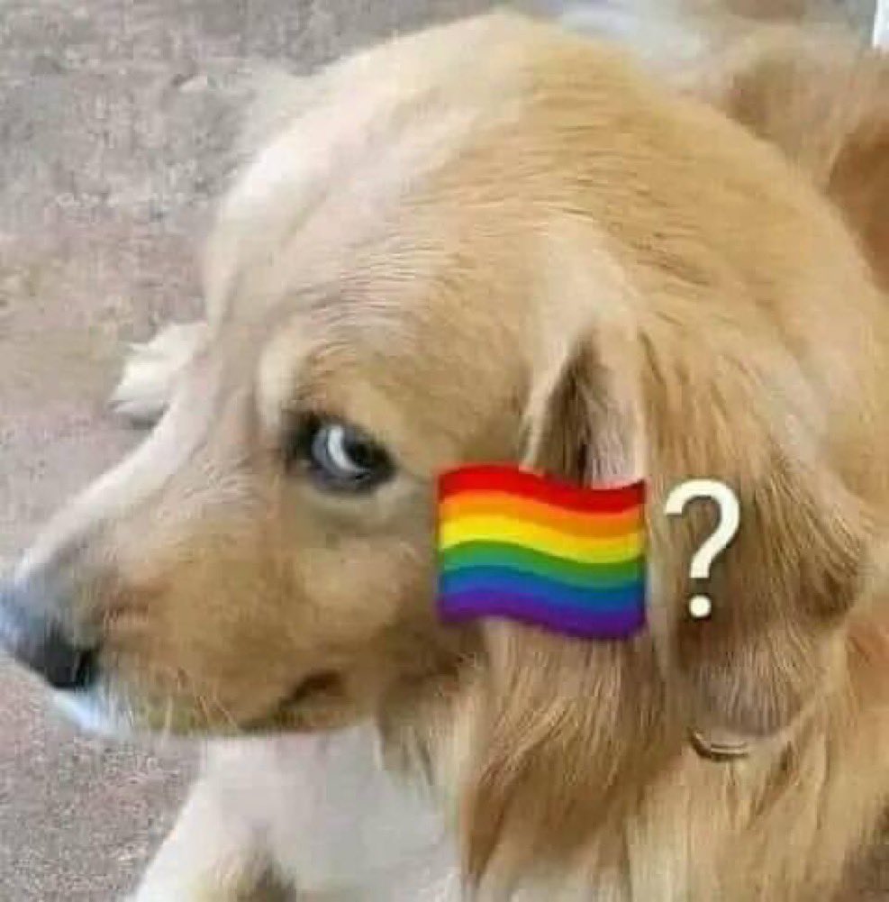brunetespos's tweet photo. mi papá no me para de hablar de la belleza que tiene el padre de dua lipa https://t.co/HiIEgqvGd0