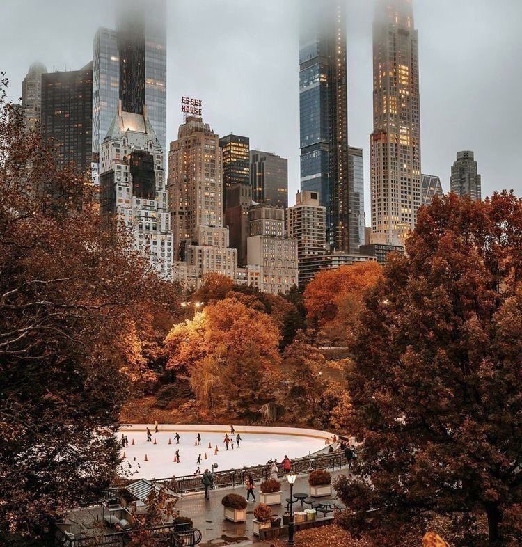 stardustfile's tweet photo. mulled wine and falling leaves https://t.co/MTo2tcViL7