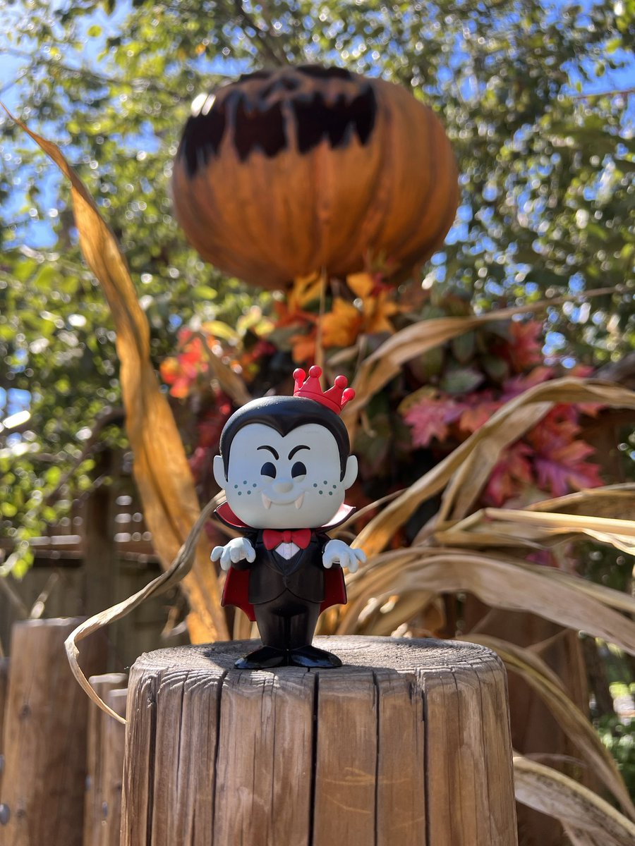 taycholee's tweet photo. #FunkoSodaSaturday #FunkoSODA @brianmariotti @OriginalFunko #vampire #vampirefreddy #freddyfunko #funko #funkopops #KnottsScaryFarm #funkofamily https://t.co/aC2QJ9mjkL