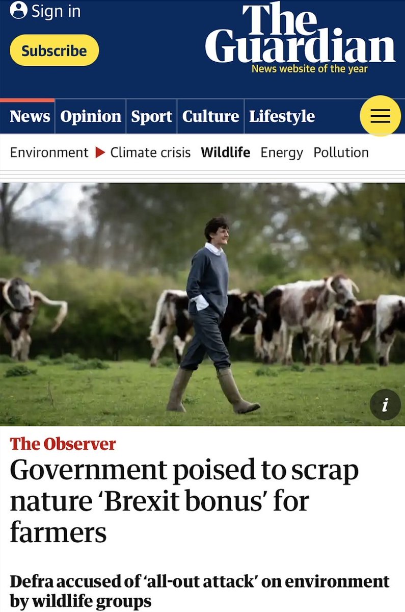 Caroline Lucas tweet media