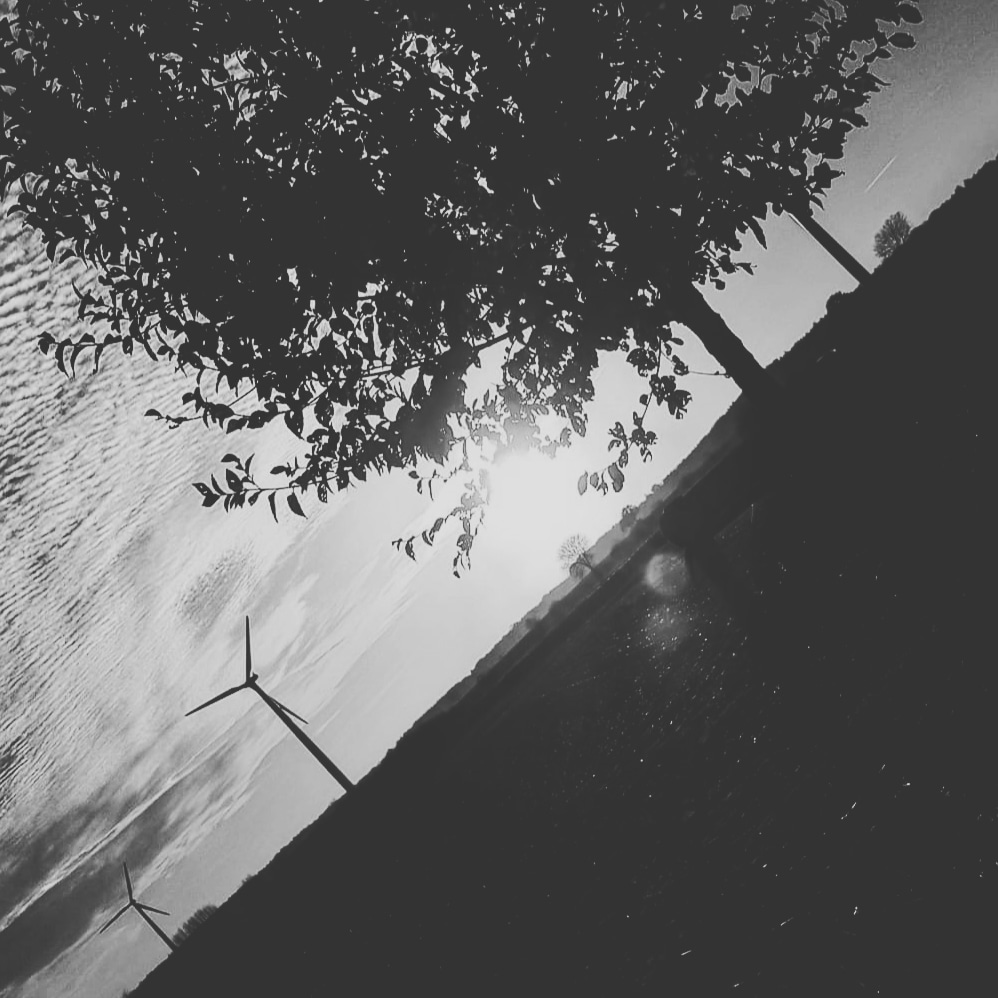 archit2541's tweet photo. Peaceful and chills https://t.co/n4vjOabRDF