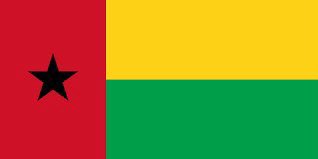 elsynvfl's tweet photo. The Flag           🇬🇼           The face https://t.co/hCvatjYtA0