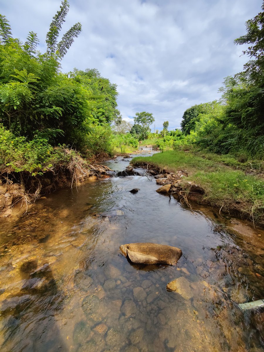 naveenkumarstyl's tweet photo. I love my native♥️ and #nature #NaturePhotography #naturelover #NaturalResources #NaturalBeauty Capture from my phone  #OnePlus #Oneplusindia #oneplus9pro5G https://t.co/zKKiJMOBP8