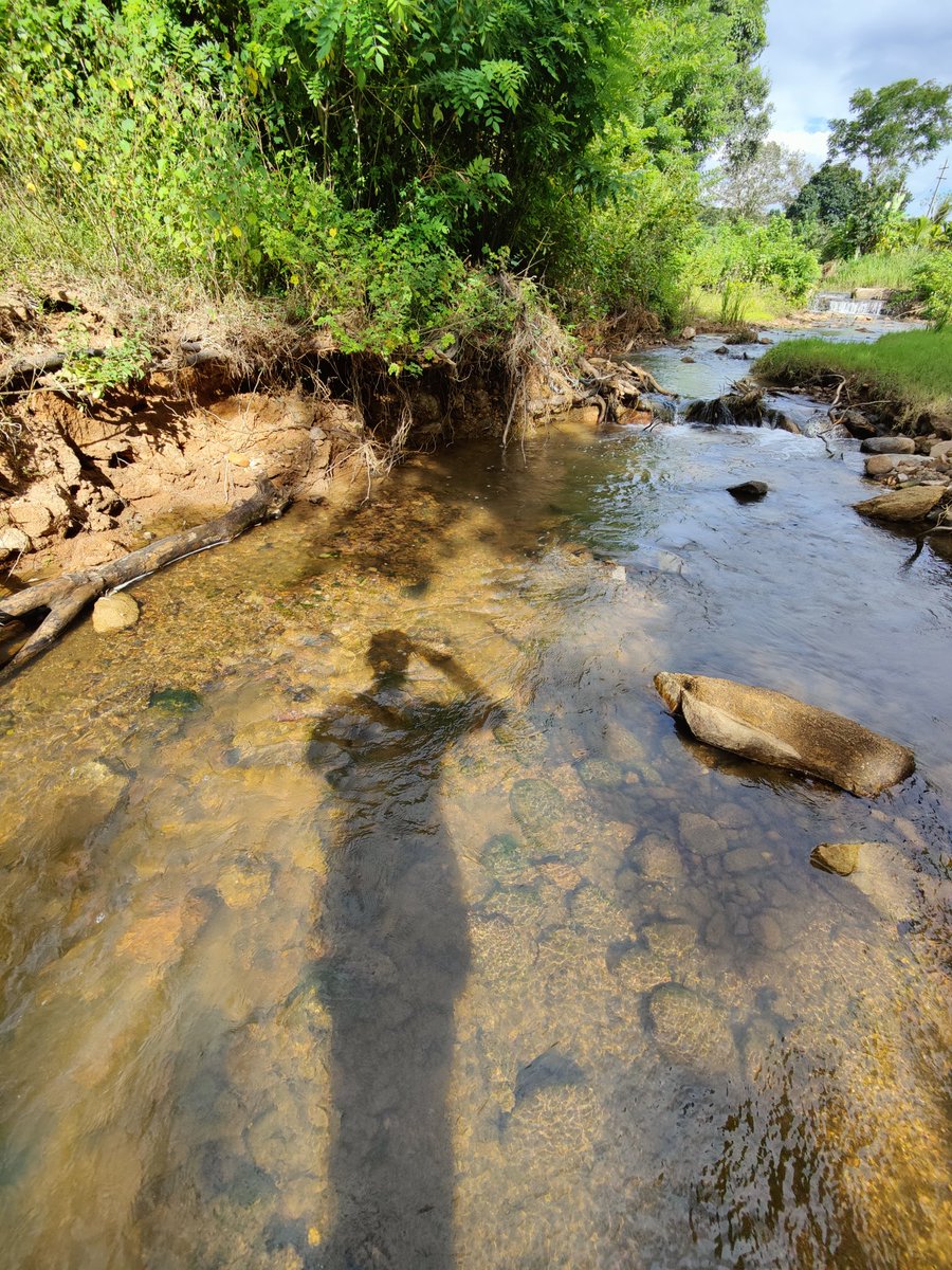 naveenkumarstyl's tweet photo. I love my native♥️ and #nature #NaturePhotography #naturelover #NaturalResources #NaturalBeauty Capture from my phone  #OnePlus #Oneplusindia #oneplus9pro5G https://t.co/zKKiJMOBP8